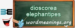 WordMeaning blackboard for dioscorea elephantipes